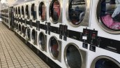 Westhaven Coin Laundry Thumb Image #3