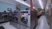 West Lawn Laundromat + Real Estate Thumb Image #3