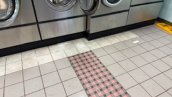 Laundromat on Military Base - 100% Remote Management Thumb Image #1