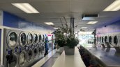 PASADENA LAUNDRY FOR SALE Thumb Image #4